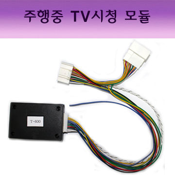 (D2D형)DM싼타페군 TV FREE CAN PIN to PIN 방식 모듈